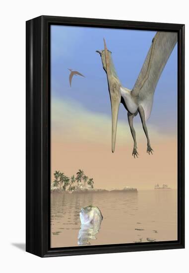 Pteranodon Fishing for Food-null-Framed Stretched Canvas