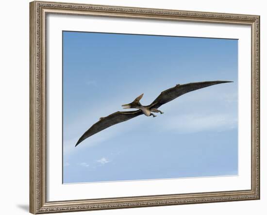 Pteranodon Pterosaur, Artwork-Friedrich Saurer-Framed Photographic Print