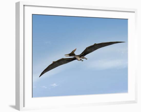 Pteranodon Pterosaur, Artwork-Friedrich Saurer-Framed Photographic Print