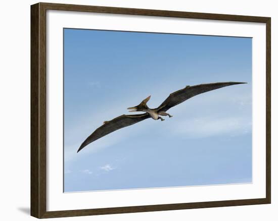 Pteranodon Pterosaur, Artwork-Friedrich Saurer-Framed Photographic Print