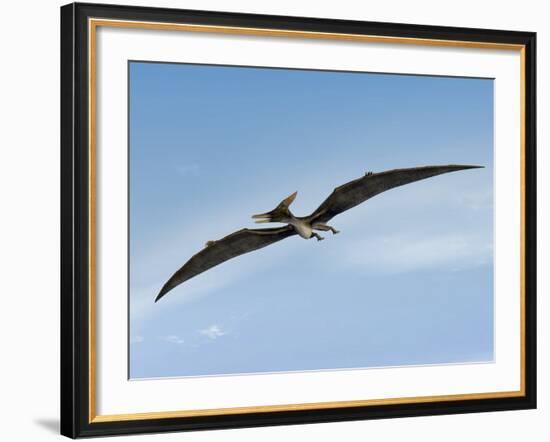 Pteranodon Pterosaur, Artwork-Friedrich Saurer-Framed Photographic Print