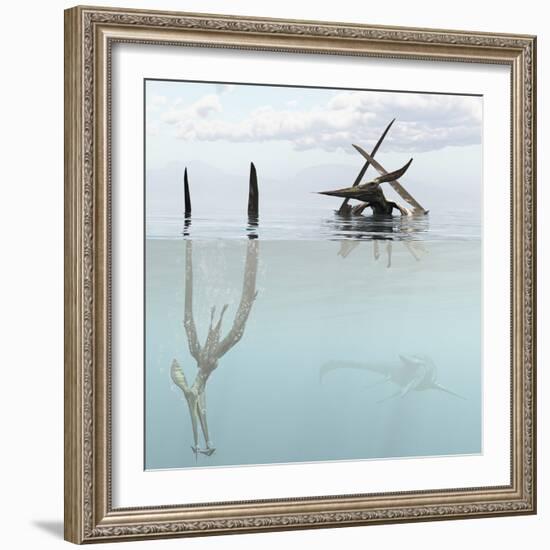 Pteranodon Pterosaur Diving Underwater Hunting for Fish-Stocktrek Images-Framed Art Print