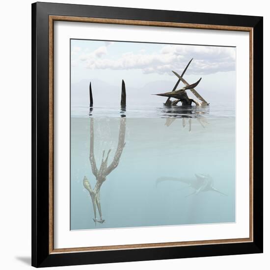 Pteranodon Pterosaur Diving Underwater Hunting for Fish-Stocktrek Images-Framed Art Print