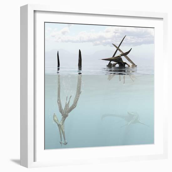 Pteranodon Pterosaur Diving Underwater Hunting for Fish-Stocktrek Images-Framed Art Print