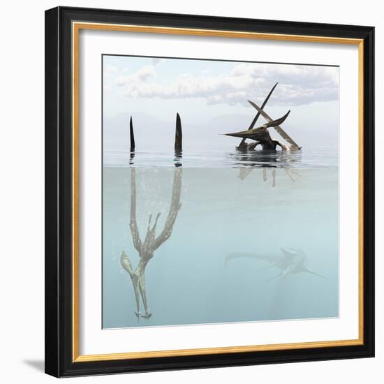 Pteranodon Pterosaur Diving Underwater Hunting for Fish-Stocktrek Images-Framed Art Print