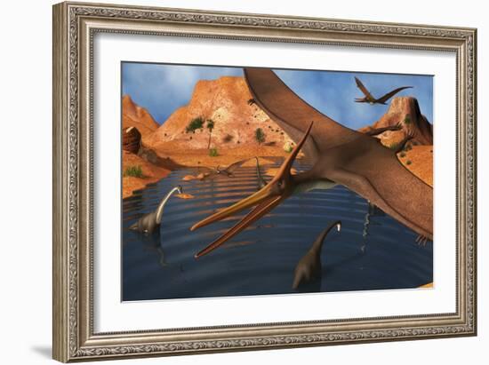 Pteranodon Reptiles Flying over a Group of Brachiosaurus Dinosaurs-Stocktrek Images-Framed Art Print