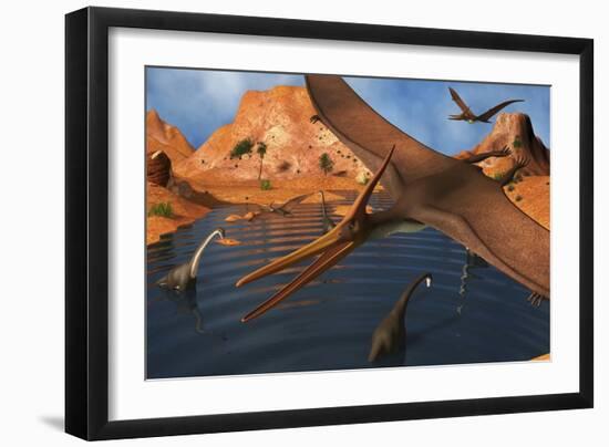 Pteranodon Reptiles Flying over a Group of Brachiosaurus Dinosaurs-Stocktrek Images-Framed Art Print