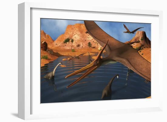 Pteranodon Reptiles Flying over a Group of Brachiosaurus Dinosaurs-Stocktrek Images-Framed Art Print