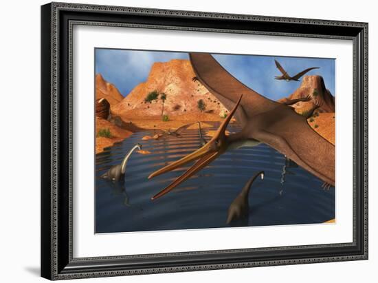 Pteranodon Reptiles Flying over a Group of Brachiosaurus Dinosaurs-Stocktrek Images-Framed Art Print