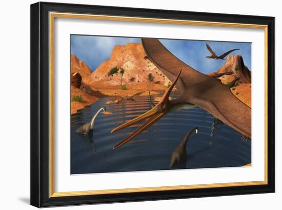 Pteranodon Reptiles Flying over a Group of Brachiosaurus Dinosaurs-Stocktrek Images-Framed Art Print