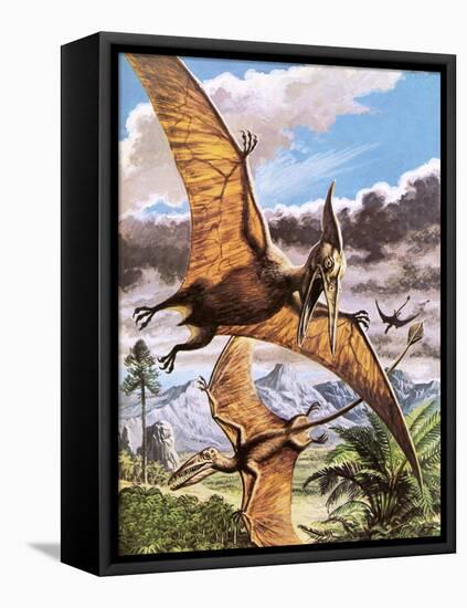 Pteranodon-Payne-Framed Premier Image Canvas