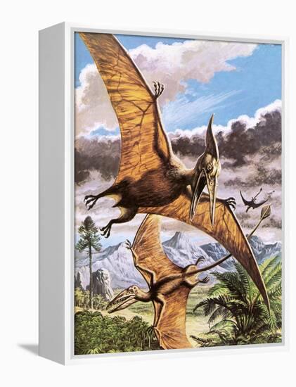 Pteranodon-Payne-Framed Premier Image Canvas