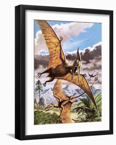 Pteranodon-Payne-Framed Giclee Print