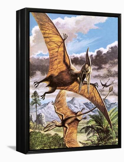 Pteranodon-Payne-Framed Premier Image Canvas