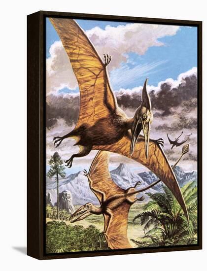 Pteranodon-Payne-Framed Premier Image Canvas