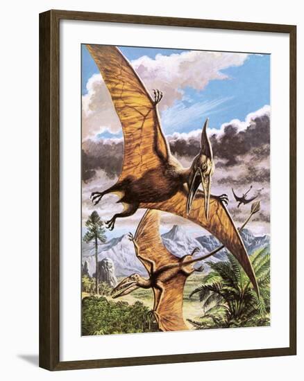 Pteranodon-Payne-Framed Giclee Print