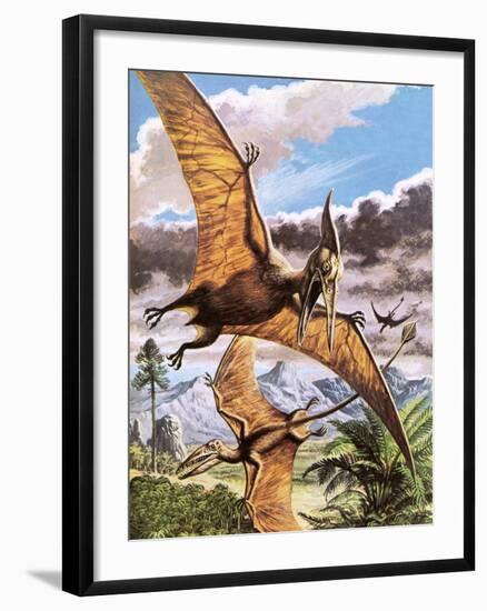 Pteranodon-Payne-Framed Giclee Print