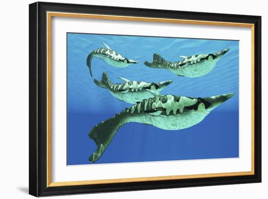 Pteraspis Is an Extinct Genus of Jawless Ocean Fish That Lived in the Devonian Period-null-Framed Premium Giclee Print