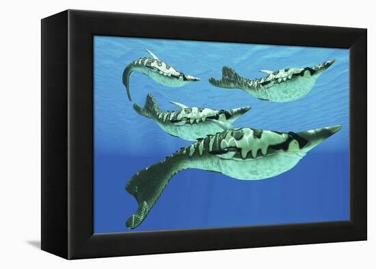 Pteraspis Is an Extinct Genus of Jawless Ocean Fish That Lived in the Devonian Period-null-Framed Stretched Canvas