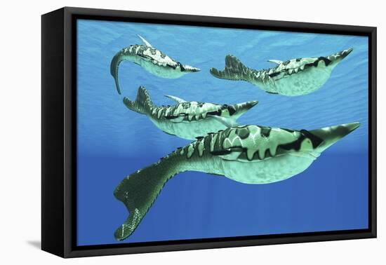 Pteraspis Is an Extinct Genus of Jawless Ocean Fish That Lived in the Devonian Period-null-Framed Stretched Canvas