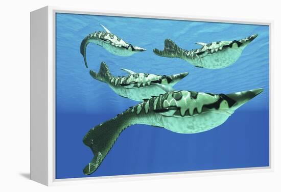 Pteraspis Is an Extinct Genus of Jawless Ocean Fish That Lived in the Devonian Period-null-Framed Stretched Canvas