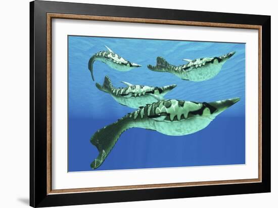 Pteraspis Is an Extinct Genus of Jawless Ocean Fish That Lived in the Devonian Period-null-Framed Art Print