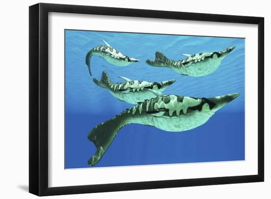 Pteraspis Is an Extinct Genus of Jawless Ocean Fish That Lived in the Devonian Period-null-Framed Art Print