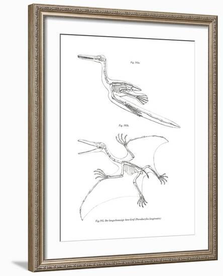 Pterodactyl--Framed Giclee Print