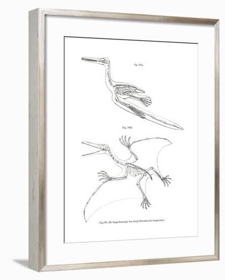 Pterodactyl-null-Framed Giclee Print