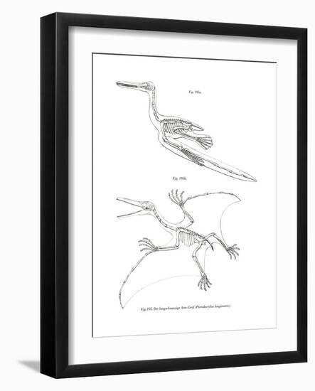 Pterodactyl-null-Framed Giclee Print
