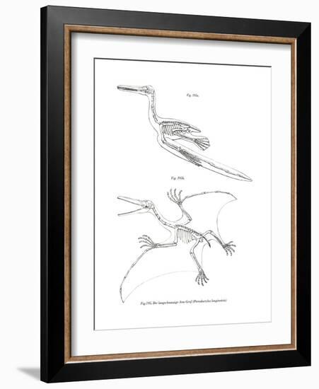 Pterodactyl-null-Framed Giclee Print