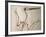 Pterodactylus Dinosaur Fossil from the Late Jurassic Era-Kevin Schafer-Framed Photographic Print