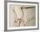 Pterodactylus Dinosaur Fossil from the Late Jurassic Era-Kevin Schafer-Framed Photographic Print