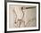 Pterodactylus Dinosaur Fossil from the Late Jurassic Era-Kevin Schafer-Framed Photographic Print