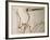 Pterodactylus Dinosaur Fossil from the Late Jurassic Era-Kevin Schafer-Framed Photographic Print