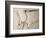 Pterodactylus Dinosaur Fossil from the Late Jurassic Era-Kevin Schafer-Framed Photographic Print