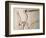 Pterodactylus Dinosaur Fossil from the Late Jurassic Era-Kevin Schafer-Framed Photographic Print