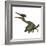 Pterodactylus Flying Reptile-Stocktrek Images-Framed Art Print