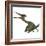 Pterodactylus Flying Reptile-Stocktrek Images-Framed Art Print