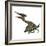 Pterodactylus Flying Reptile-Stocktrek Images-Framed Art Print