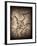 Pterodactylus Kochi-Clive Nolan-Framed Photographic Print