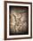 Pterodactylus Kochi-Clive Nolan-Framed Photographic Print