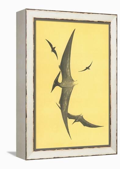 Pterodons-null-Framed Stretched Canvas