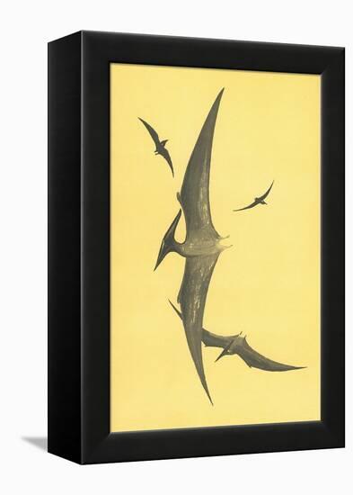 Pterodons-null-Framed Stretched Canvas
