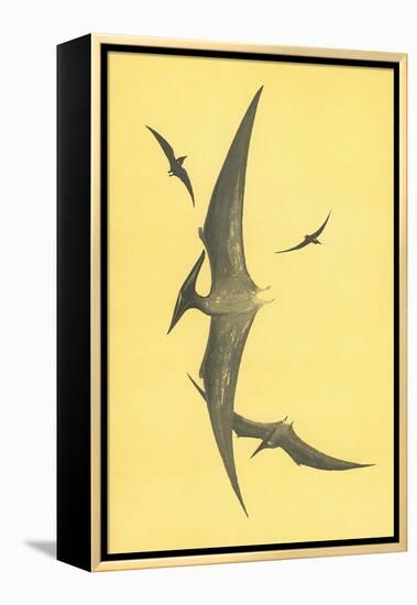 Pterodons-null-Framed Stretched Canvas