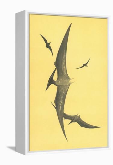 Pterodons-null-Framed Stretched Canvas