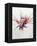 Pterois-Marc Allante-Framed Premier Image Canvas