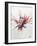 Pterois-Marc Allante-Framed Giclee Print