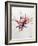 Pterois-Marc Allante-Framed Giclee Print