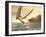 Pterosaur Fishing, Computer Artwork-Roger Harris-Framed Photographic Print